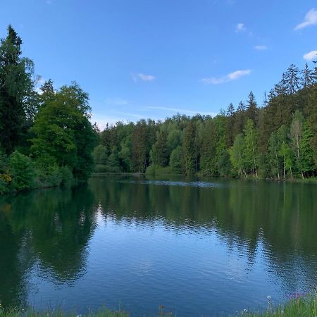 Hotel And Restaurant Bergschloesschen Zorge Екстериор снимка