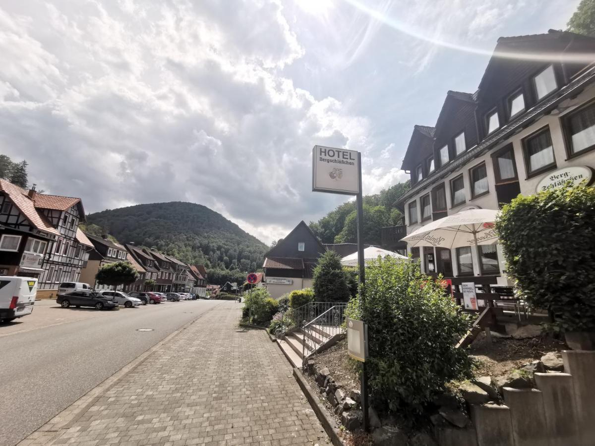 Hotel And Restaurant Bergschloesschen Zorge Екстериор снимка