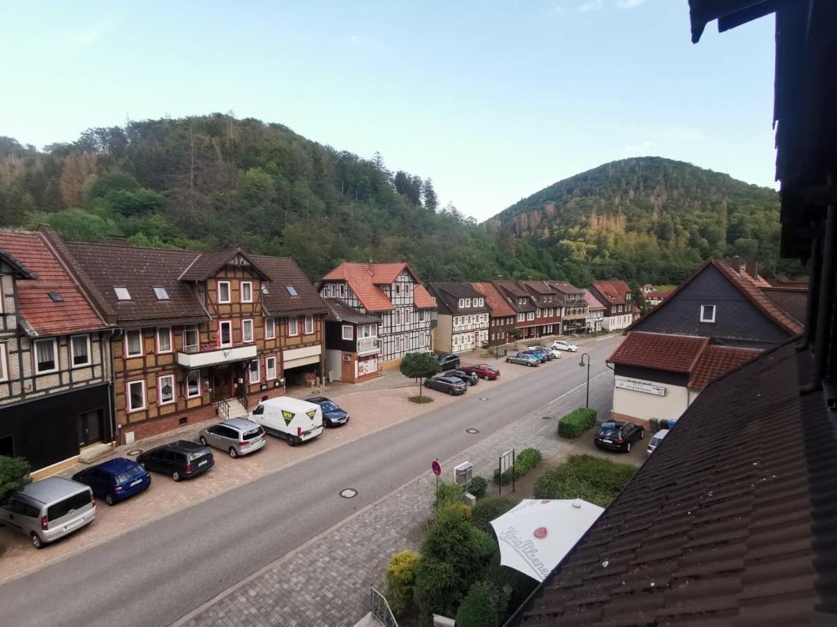 Hotel And Restaurant Bergschloesschen Zorge Екстериор снимка