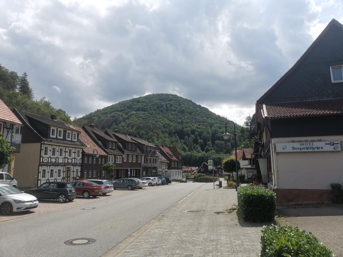 Hotel And Restaurant Bergschloesschen Zorge Екстериор снимка