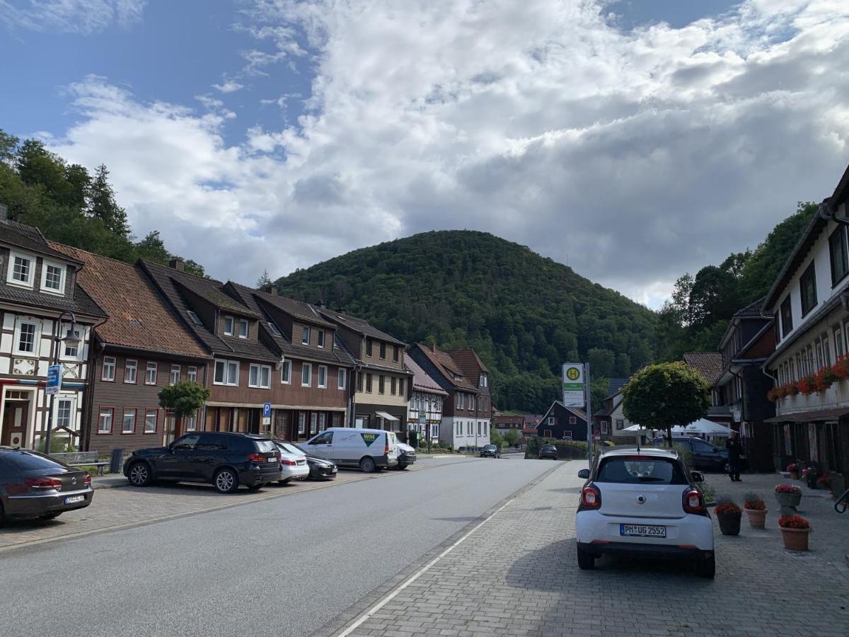 Hotel And Restaurant Bergschloesschen Zorge Екстериор снимка