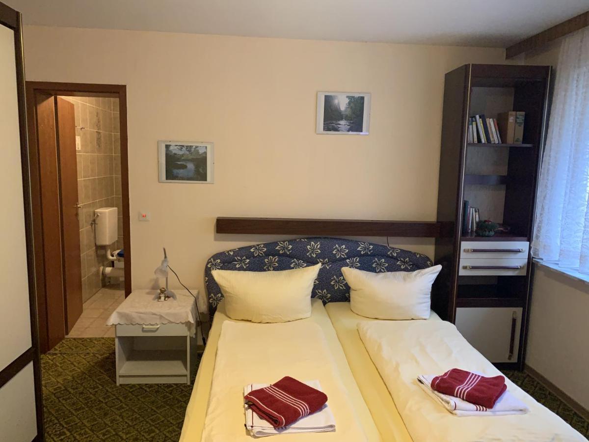 Hotel And Restaurant Bergschloesschen Zorge Екстериор снимка