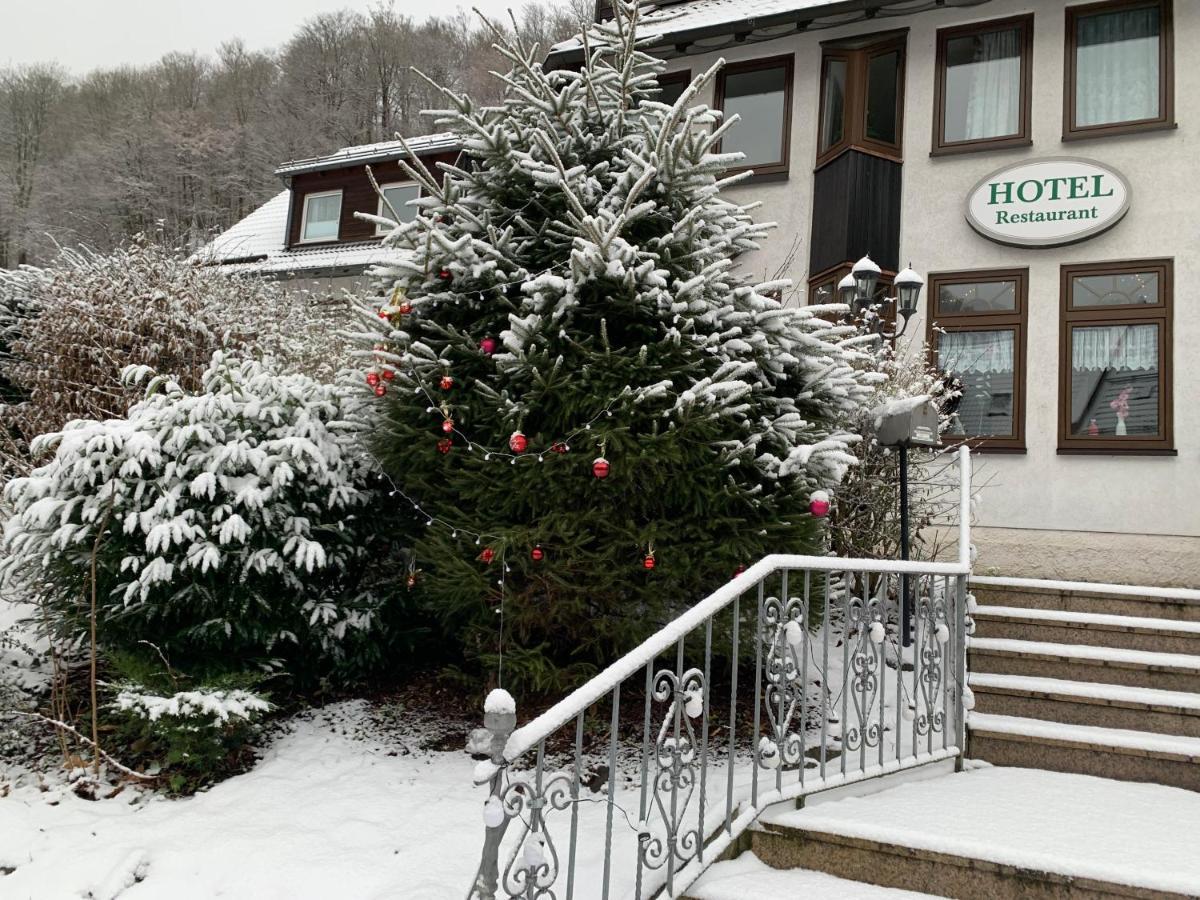 Hotel And Restaurant Bergschloesschen Zorge Екстериор снимка