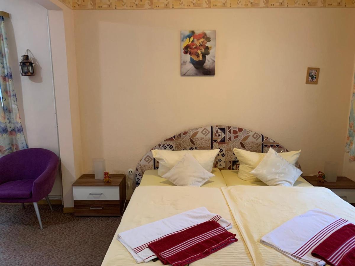 Hotel And Restaurant Bergschloesschen Zorge Екстериор снимка